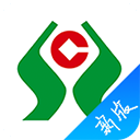光溜溜瑜伽全套视频大全
